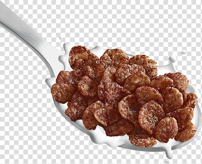 Breakfast cereal Golden Crisp Malt-O-Meal Fruity Dyno-Bites Cereal Corn flakes Post Holdings Inc, chocolate transparent background PNG clipart