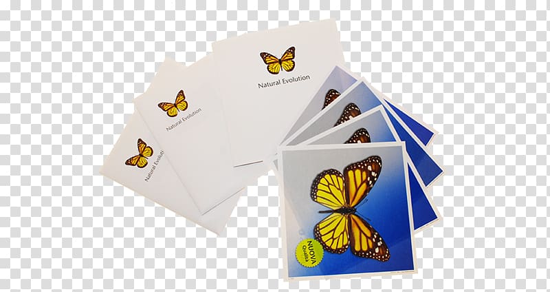 Paper Butterfly Brand 2M, butterfly transparent background PNG clipart