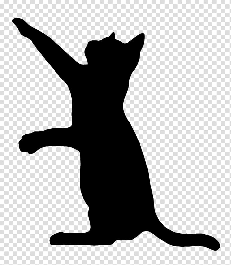 Cat play and toys Kitten Silhouette , black cat transparent background PNG clipart