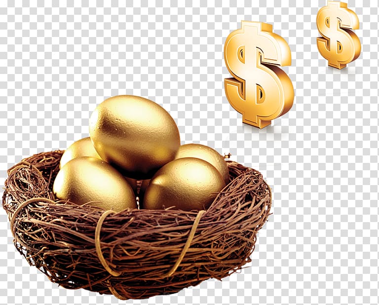 Edible birds nest Egg Bird nest, Nest money transparent background