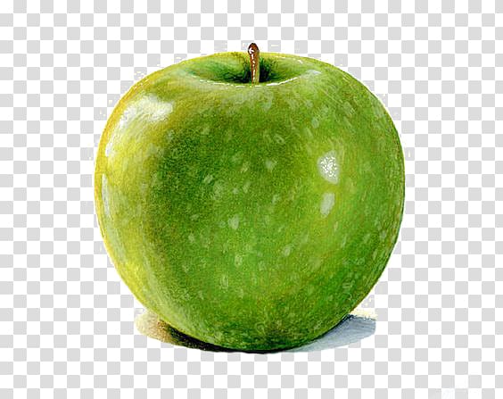 Granny Smith Watercolor painting Apple Drawing Illustration, Watercolor apples transparent background PNG clipart