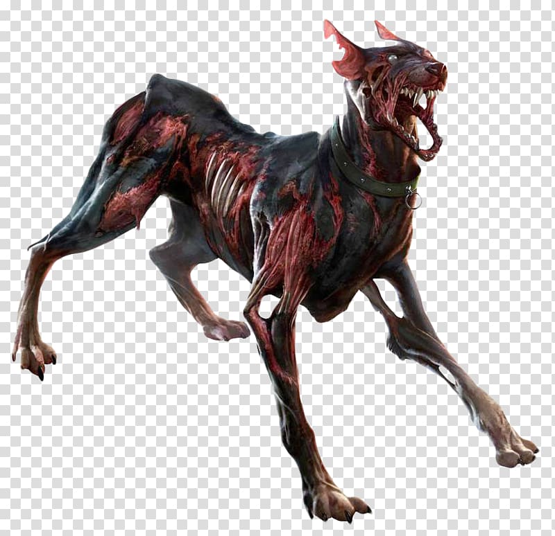 zombie doberman, Italian Greyhound Zombie, Zombie Dog transparent background PNG clipart