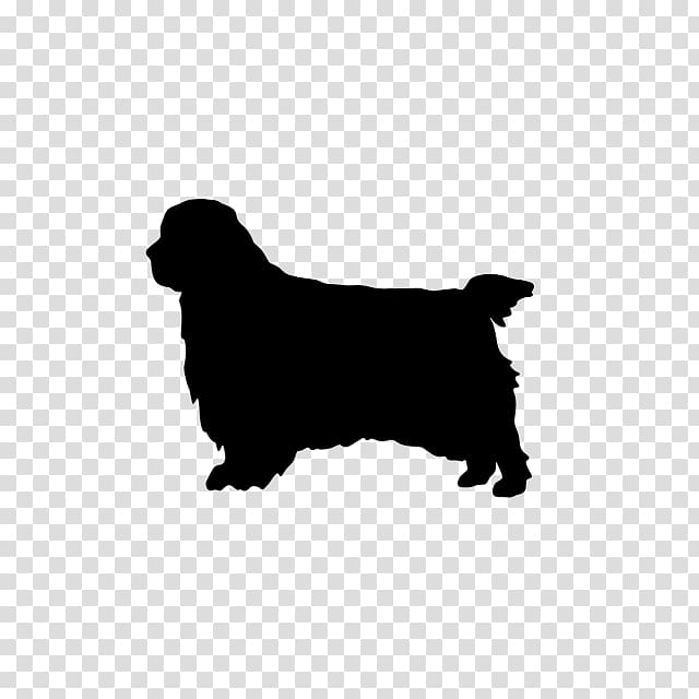 Dog breed Clumber Spaniel English Cocker Spaniel American Water Spaniel, spaniel puppy transparent background PNG clipart