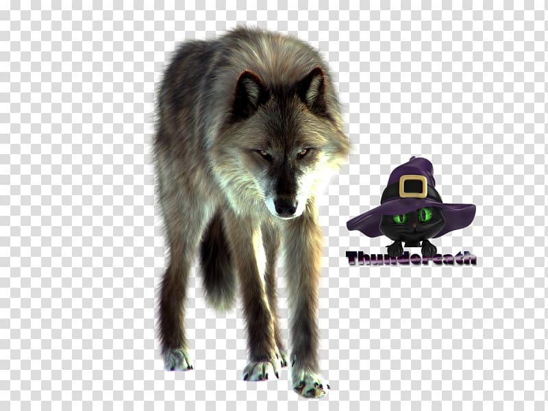 Red fox Dog White Fang Arctic fox, Dog transparent background PNG clipart
