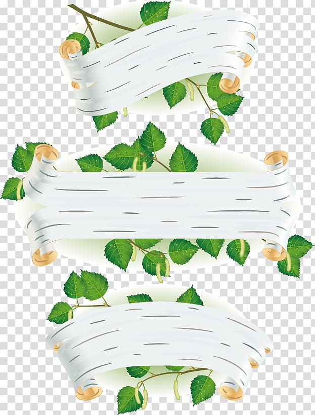 white-and-green leaf illustration, Birch Euclidean Leaf Bark, 3 green leaf birch title in style background free transparent background PNG clipart