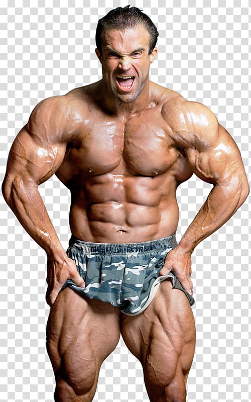 Bodybuilding transparent background PNG clipart