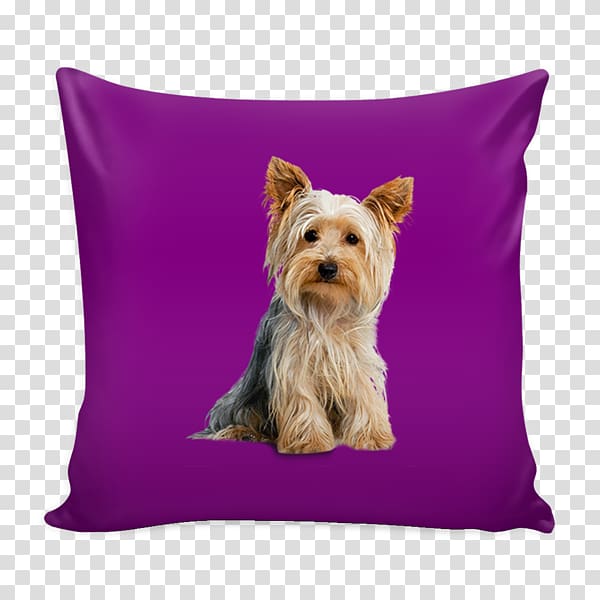 Yorkshire Terrier Bichon Frise Boston Terrier Pillow Cairn Terrier, pawpaw transparent background PNG clipart