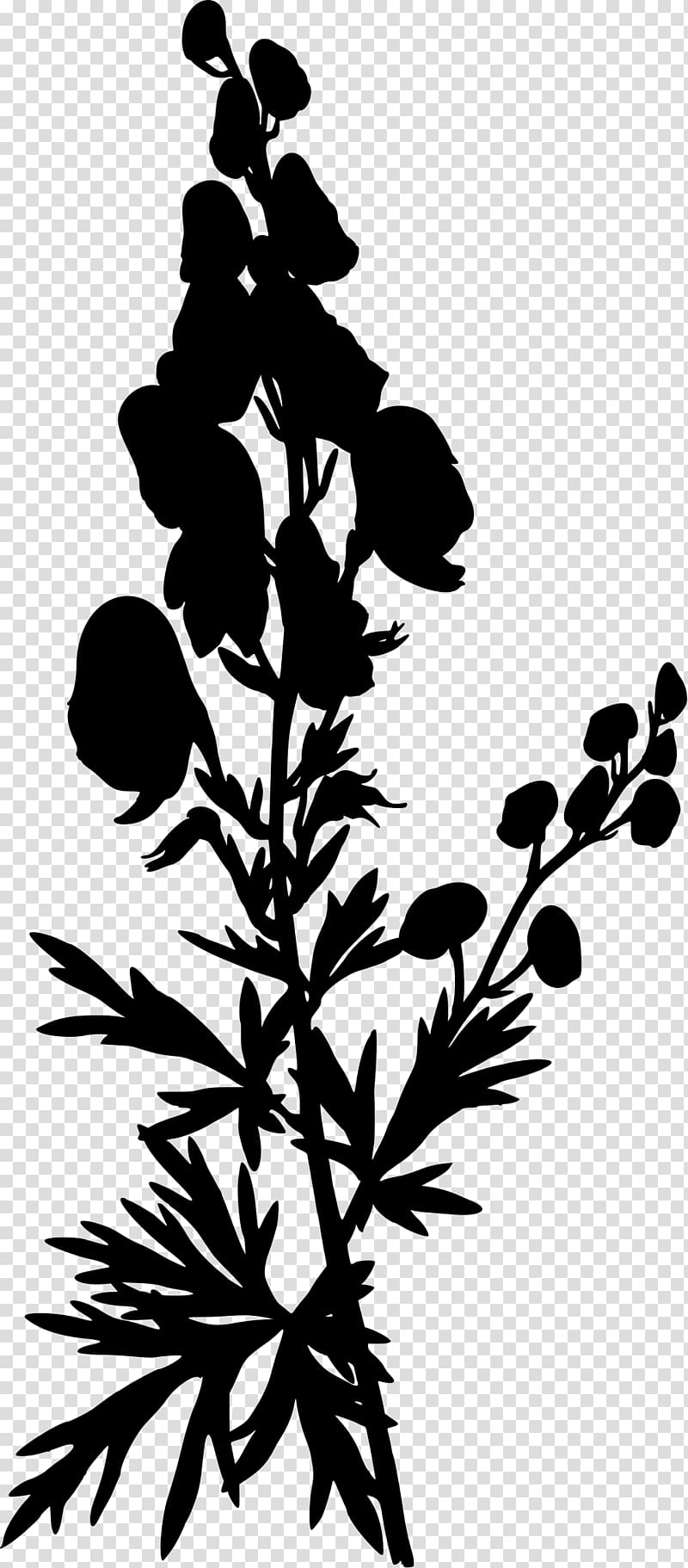 Köhler\'s Medicinal Plants Aconite Eudicots Aconitum lycoctonum, plant silhouette transparent background PNG clipart