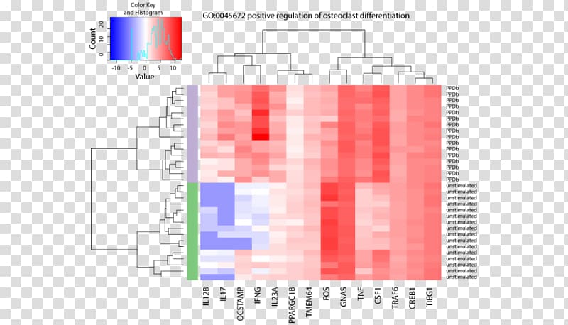 DNA microarray Heat map RNA-Seq Nucleic acid sequence, others transparent background PNG clipart