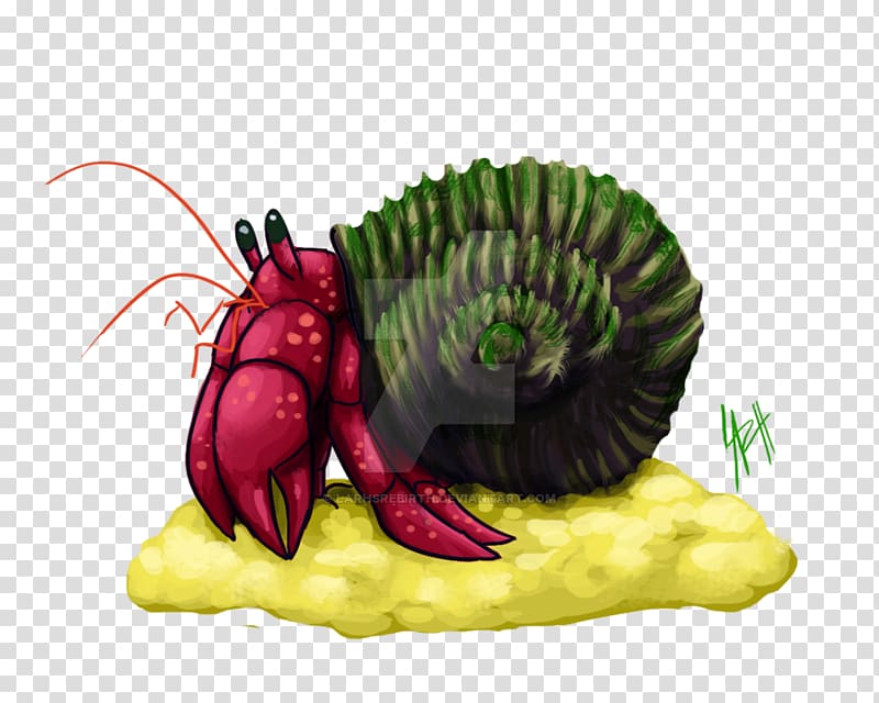 Insect Cartoon Vegetable Legendary creature, hermit crabs transparent background PNG clipart