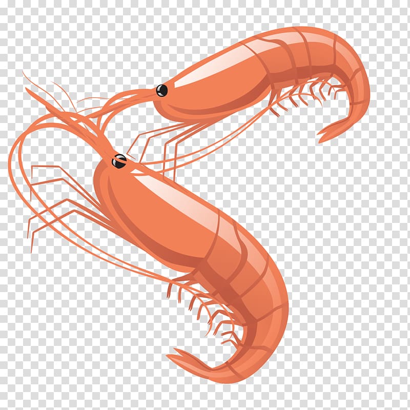 Lobster Caridea Prawn, mouse painted crayfish transparent background PNG clipart
