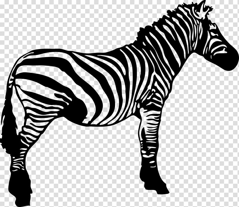 zebra clipart black and white