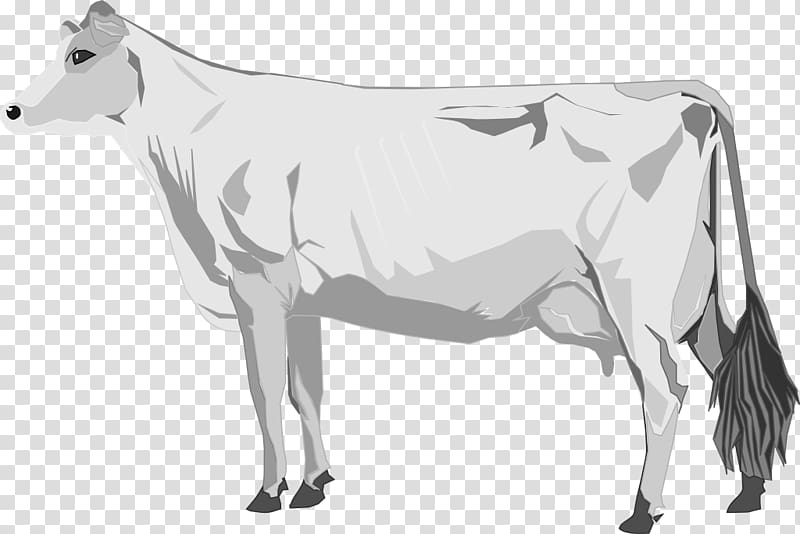 Cattle Lumpy skin disease, cow transparent background PNG clipart