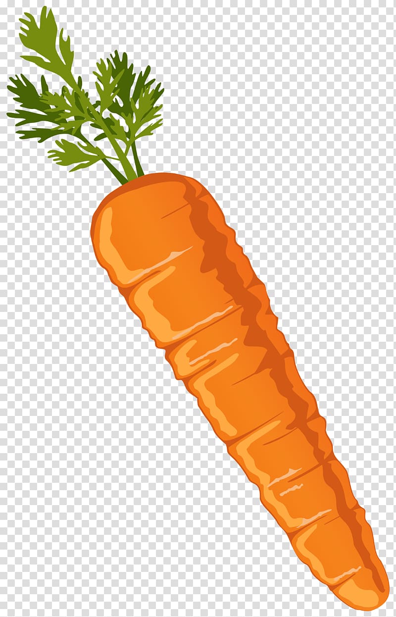 Carrot salad , Baby Carrots transparent background PNG clipart