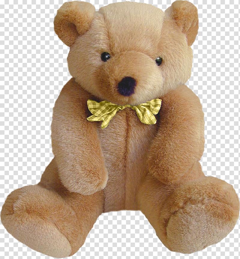 Teddy bear transparent background PNG clipart