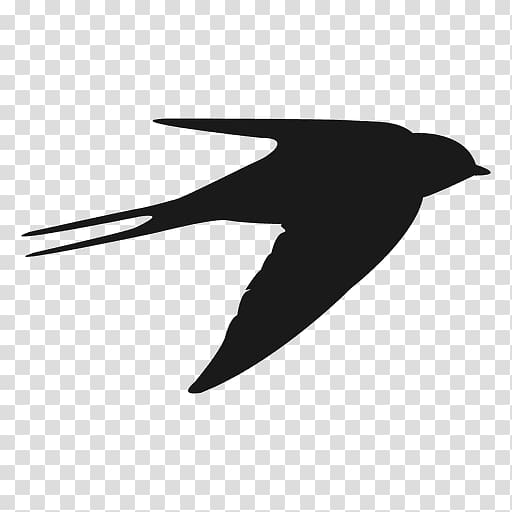 Hummingbird Beak Swallow Flight, Bird transparent background PNG clipart