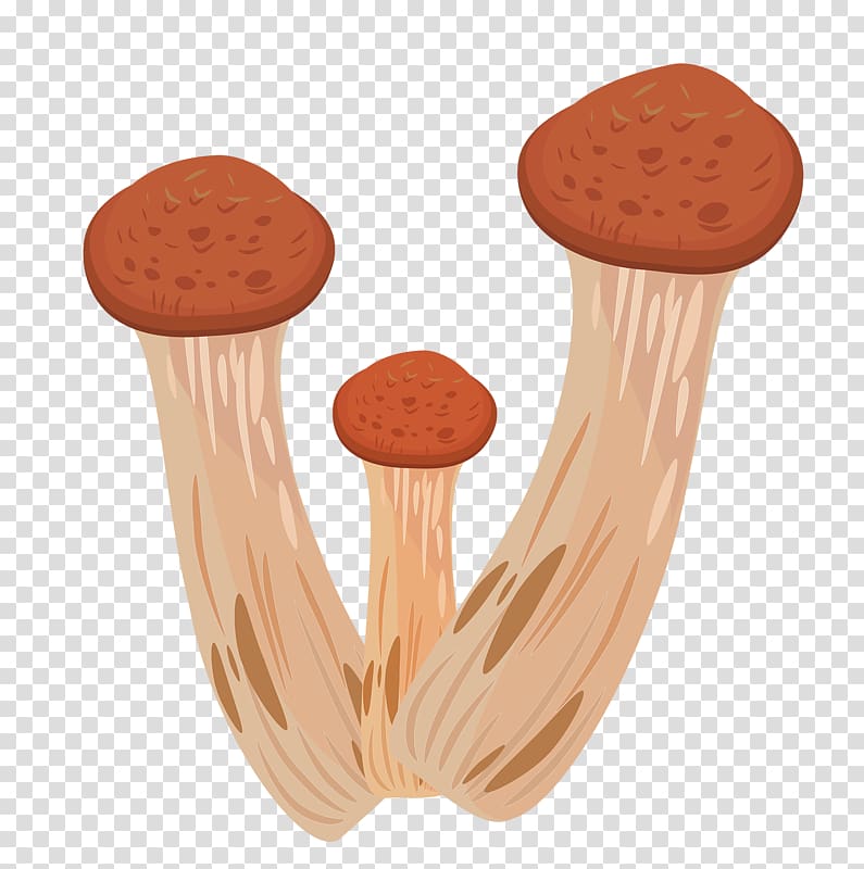 Boletus edulis Edible mushroom Fungus Illustration, Hand drawn mushrooms transparent background PNG clipart