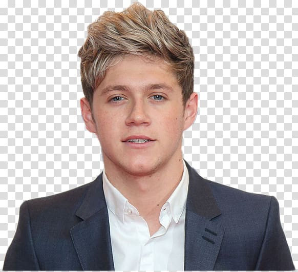 Niall Horan The Ellen DeGeneres Show Television show One Direction Actor, Niall Horan transparent background PNG clipart