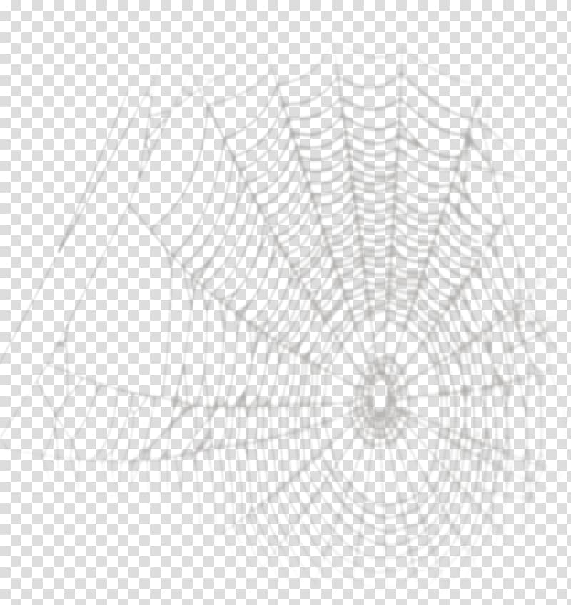 Spider web Drawing, Cartoon spider web painted material transparent background PNG clipart