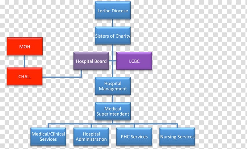 Organizational structure Hospital Board of directors Health administration, Financial Advisor transparent background PNG clipart