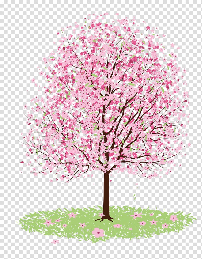 pink tree , Cherry blossom Drawing Tree, cherry tree transparent background PNG clipart