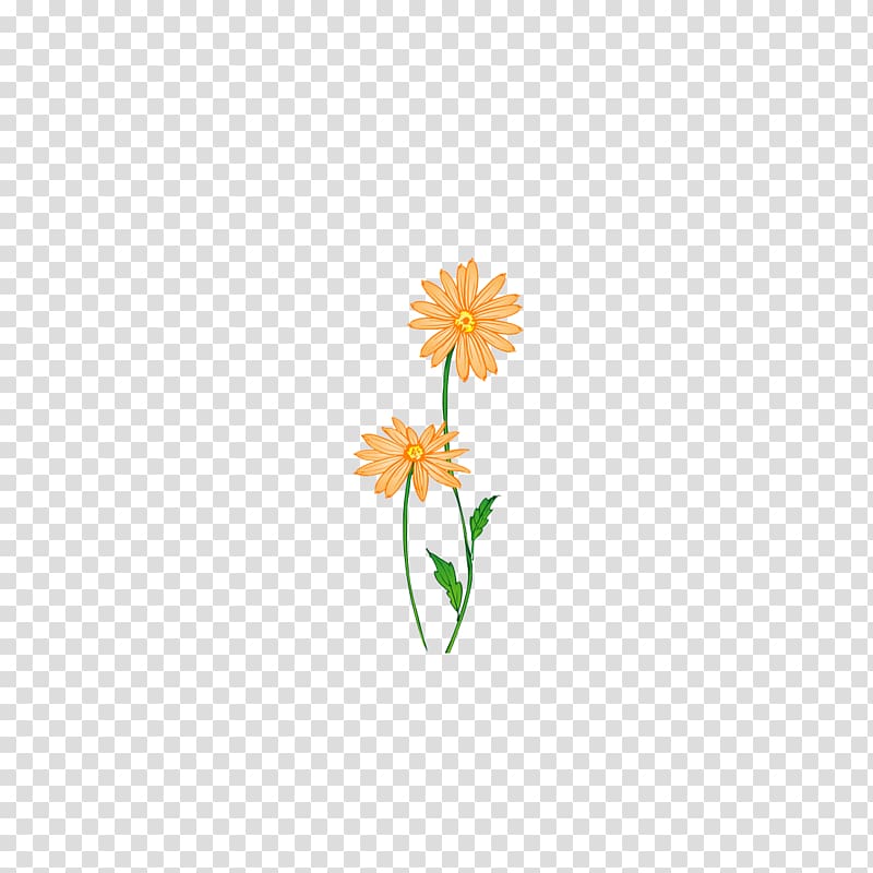 Petal Yellow Leaf Pattern, Chrysanthemum transparent background PNG clipart