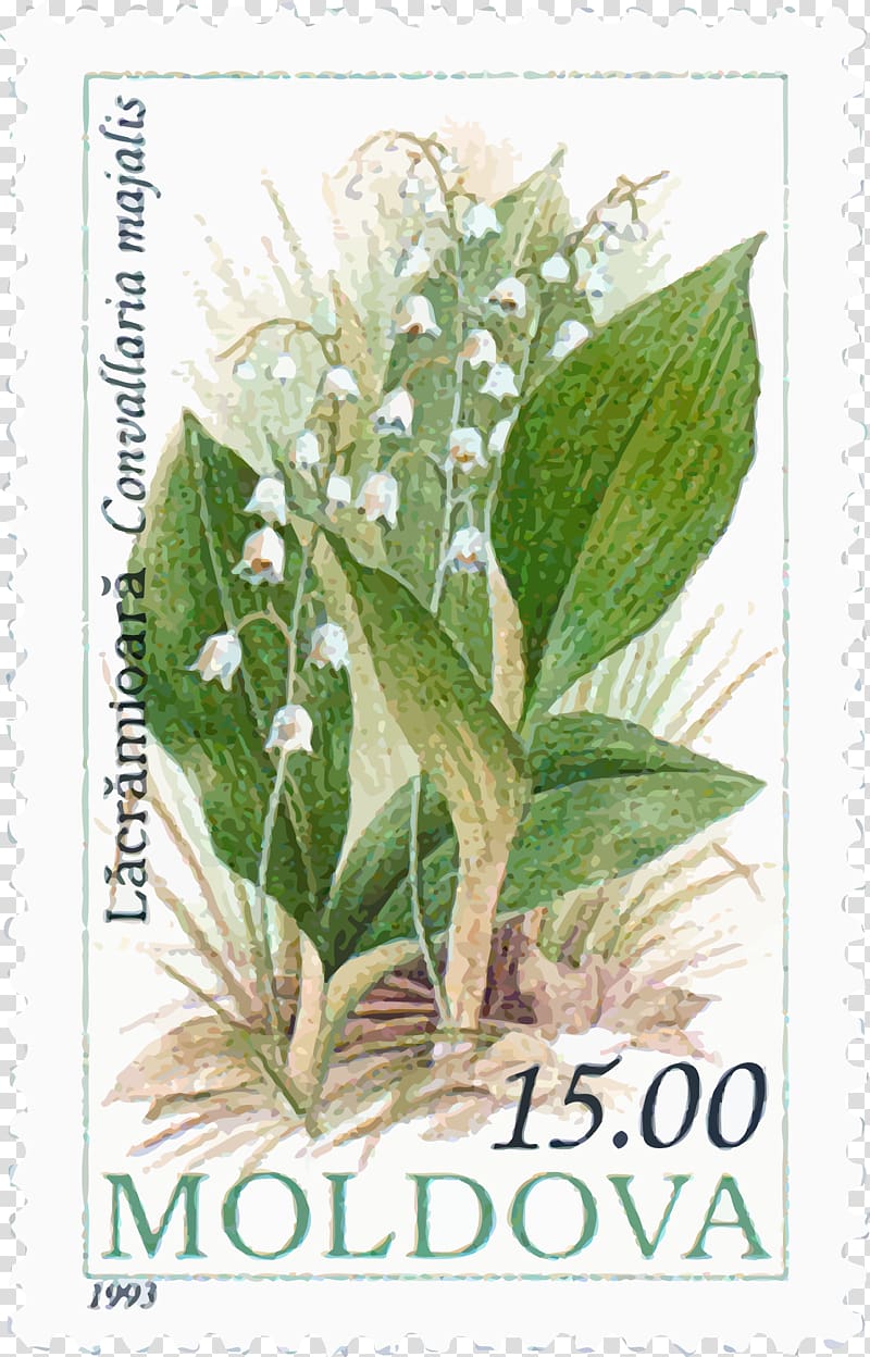 Moldova Postage Stamps Mail Rubber stamp Stamp collecting, lily of the valley transparent background PNG clipart