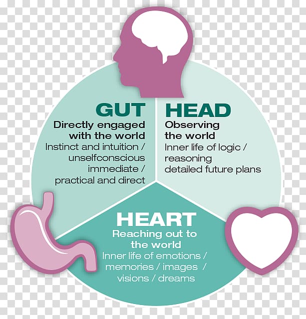 Instinct Gastrointestinal tract Gut–brain axis Neuroscience Psychological stress, extraordinary transparent background PNG clipart