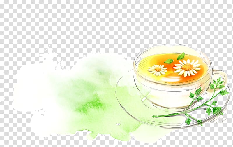 Flowering tea Chrysanthemum tea Green tea, Painted chrysanthemum tea transparent background PNG clipart