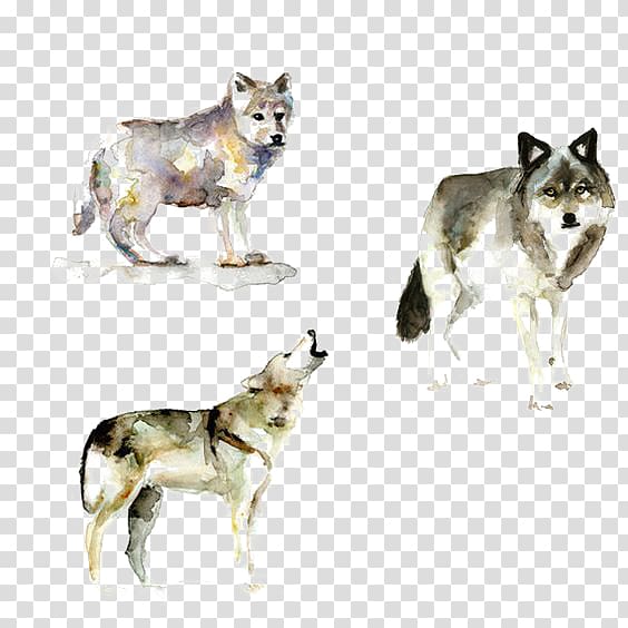 wolf transparent background PNG clipart