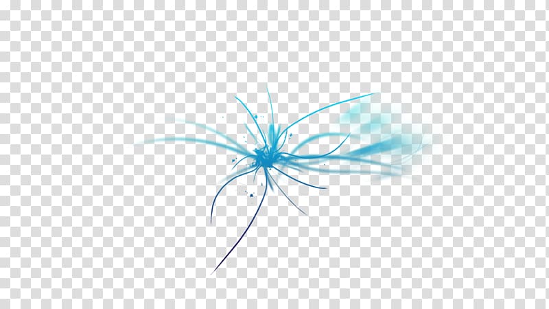 Insect Close-up Sky Computer , Color lines transparent background PNG clipart