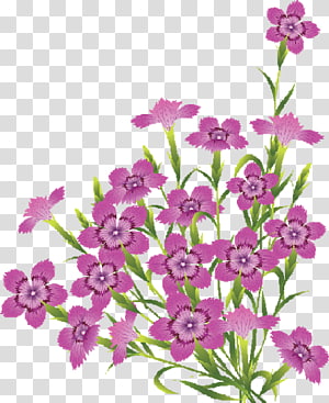 Flower , flowers board transparent background PNG clipart thumbnail