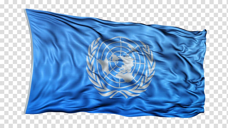 Flag of the United Nations Throw Pillows QuickTime File Format, Flag transparent background PNG clipart