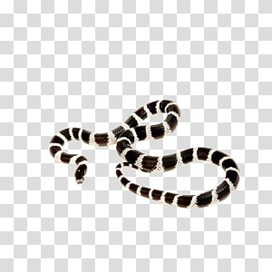 California kingsnake Ball python Corn snake Reptile, snake transparent background PNG clipart California kingsnake Ball python Corn snake Reptile, snake transparent background PNG clipart thumbnail