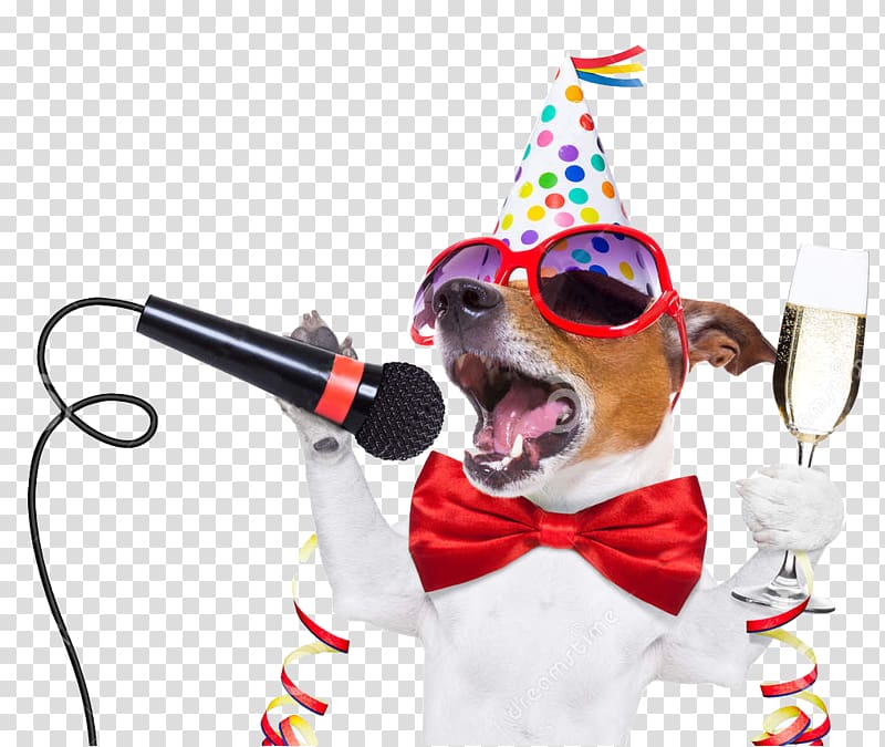 Jack Russell Terrier Microphone New Guinea singing dog Puppy Karaoke, 2018 transparent background PNG clipart
