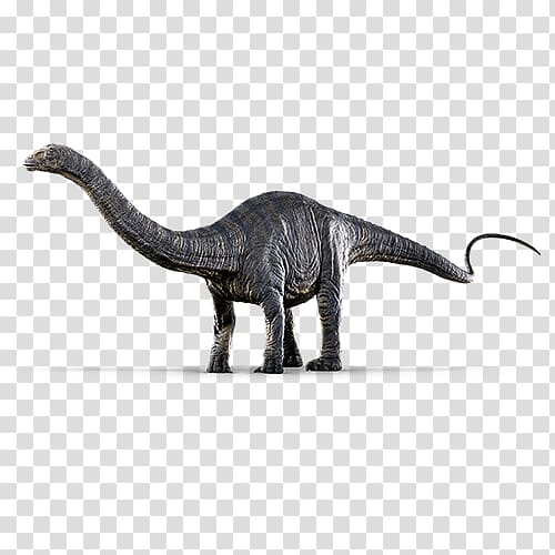 black long-neck dinosaur, Jurassic World Evolution Dinosaur Park Apatosaurus Brontosaurus Diplodocus, dinosaur transparent background PNG clipart