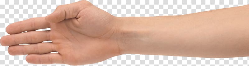 Thumb Wrist, Hands , hand free transparent background PNG clipart