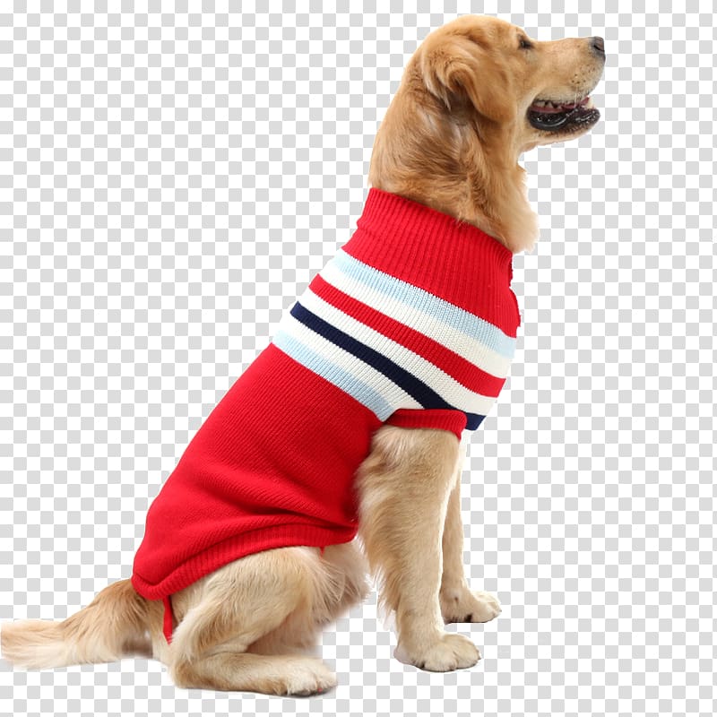 Puppy Golden Retriever Sweater Dog's fashion Pet, puppy transparent background PNG clipart