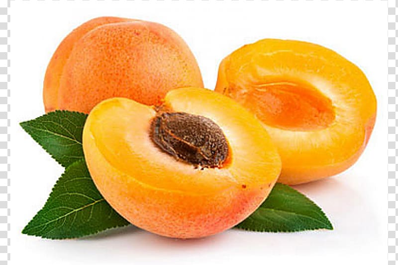 Turkish cuisine Apricot kernel Fruit Drupe, apricot transparent background PNG clipart