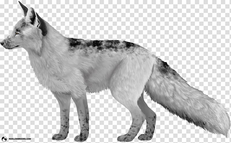 Czechoslovakian Wolfdog Saarloos wolfdog Seppala siberian sleddog Domesticated red fox, fox transparent background PNG clipart