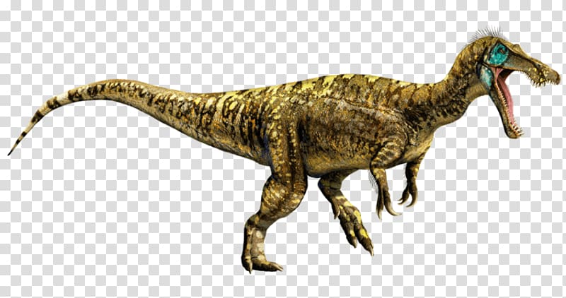 Tyrannosaurus Jurassic World Evolution Universal Baryonyx Jurassic Park: Operation Genesis, dinosaur transparent background PNG clipart