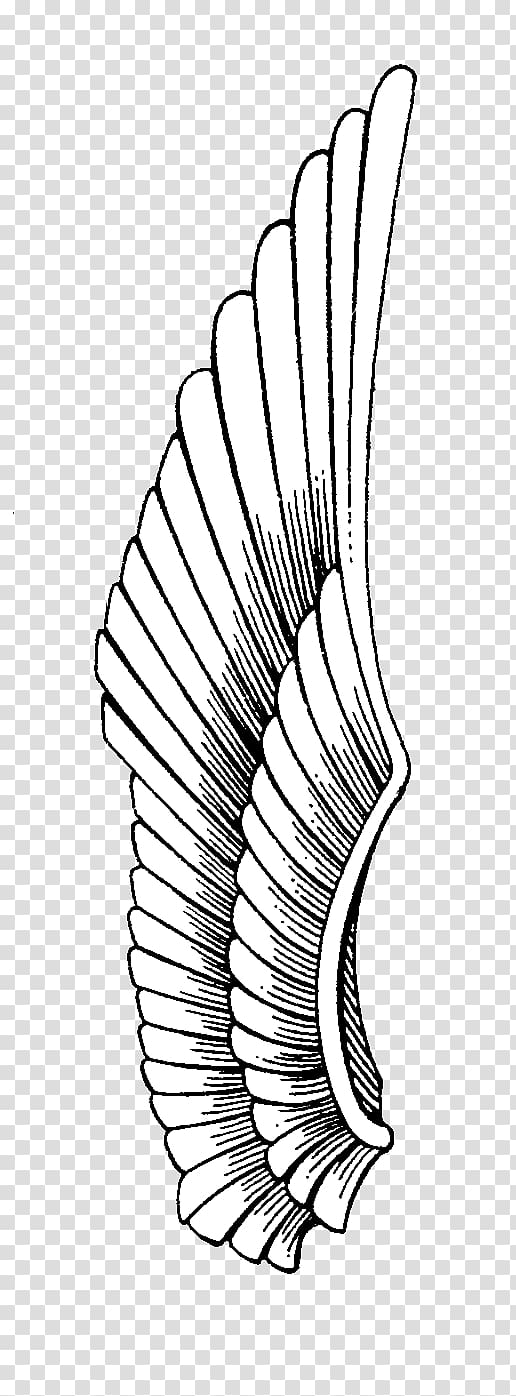 Drawing Line art Eagle Monochrome, eagle wings tattoo transparent background PNG clipart