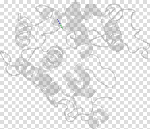 Drawing Line art White , Brassica Juncea transparent background PNG clipart