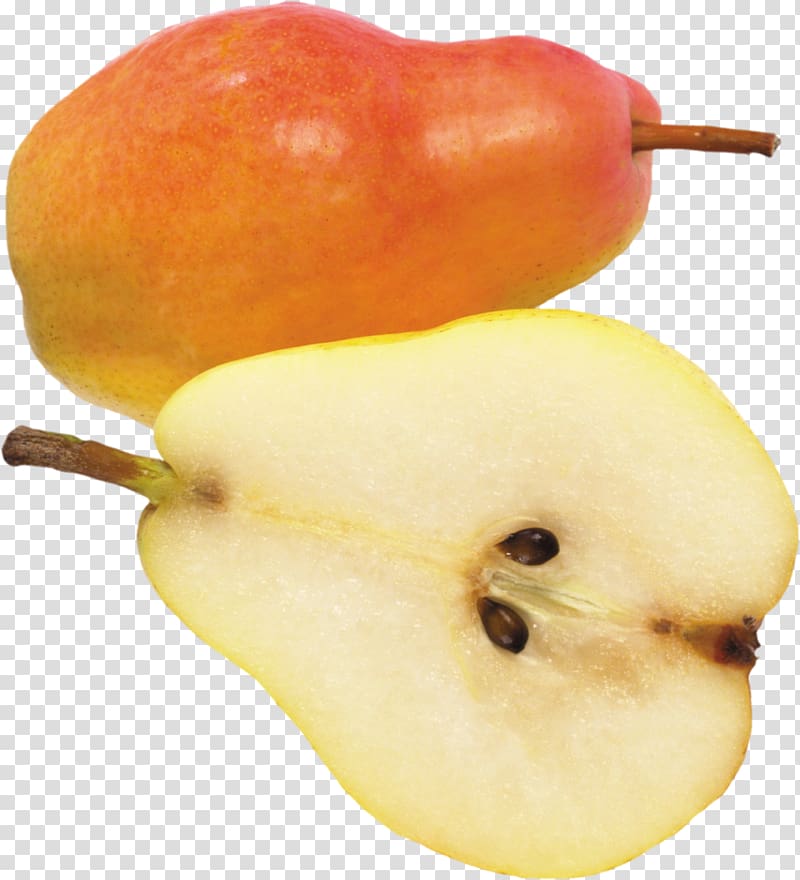 European pear Fruit Rosaceae, Pear transparent background PNG clipart