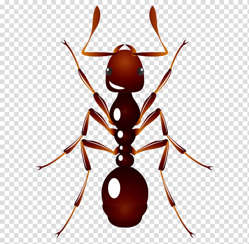 red ant , Ant u6606u866b: u8682u8681 Insect, cartoon hand painted fine red ants transparent background PNG clipart