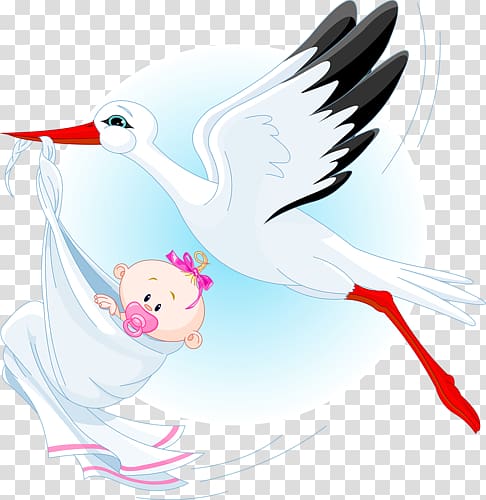Stork Infant , stork transparent background PNG clipart