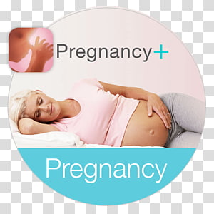 Pregnancy Ovulation Menstrual Cycle Menstruation Follicular Phase Ovarian Cycle Fertility