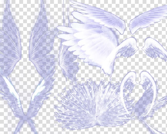 Mu Online Pattern, Angel Wings transparent background PNG clipart