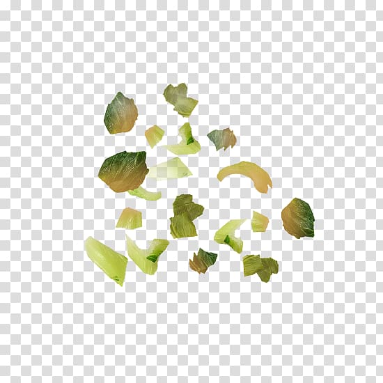 Leaf Petal Tree Organism, bok choy transparent background PNG clipart