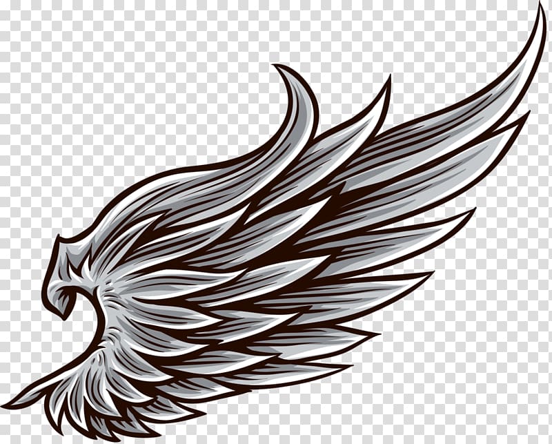 Drawing , wings transparent background PNG clipart